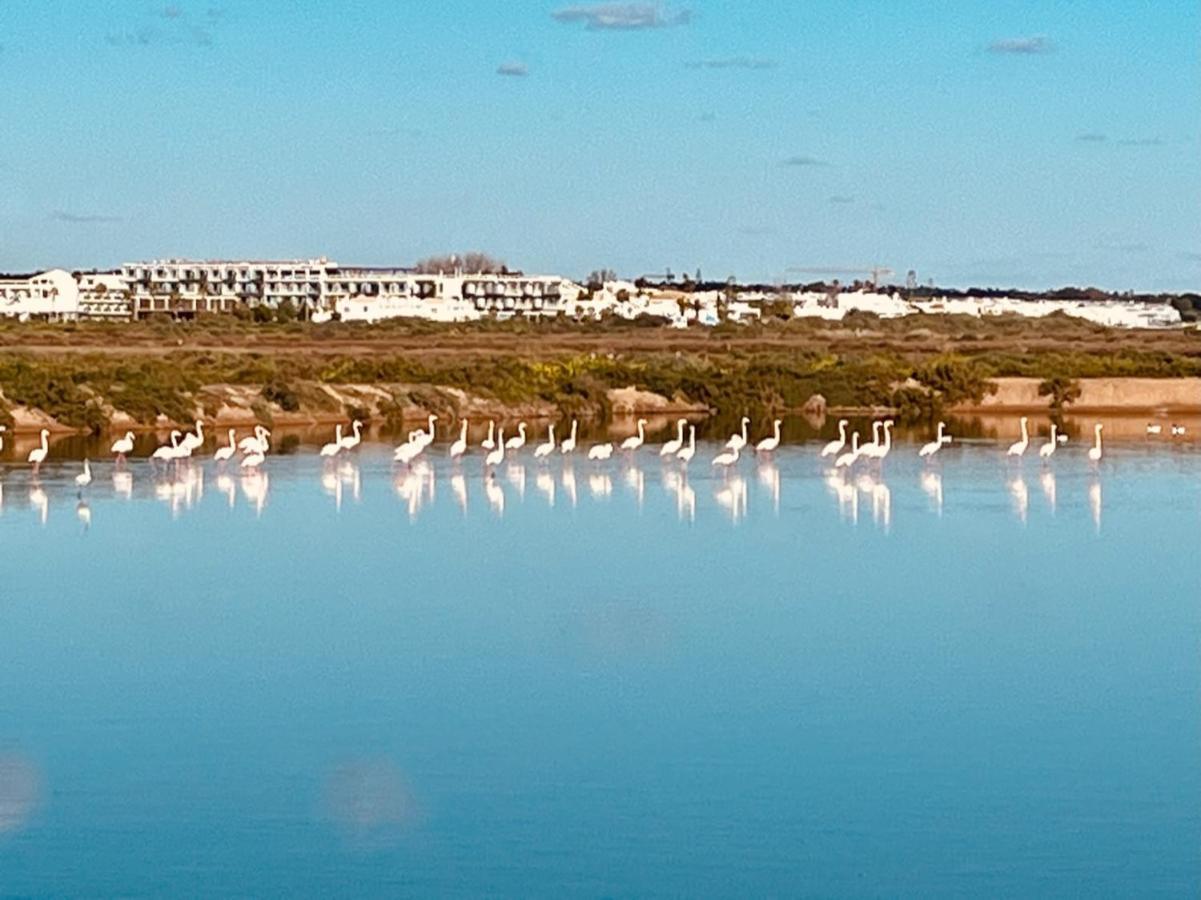 Casa Bamboo Tavira Διαμέρισμα Εξωτερικό φωτογραφία